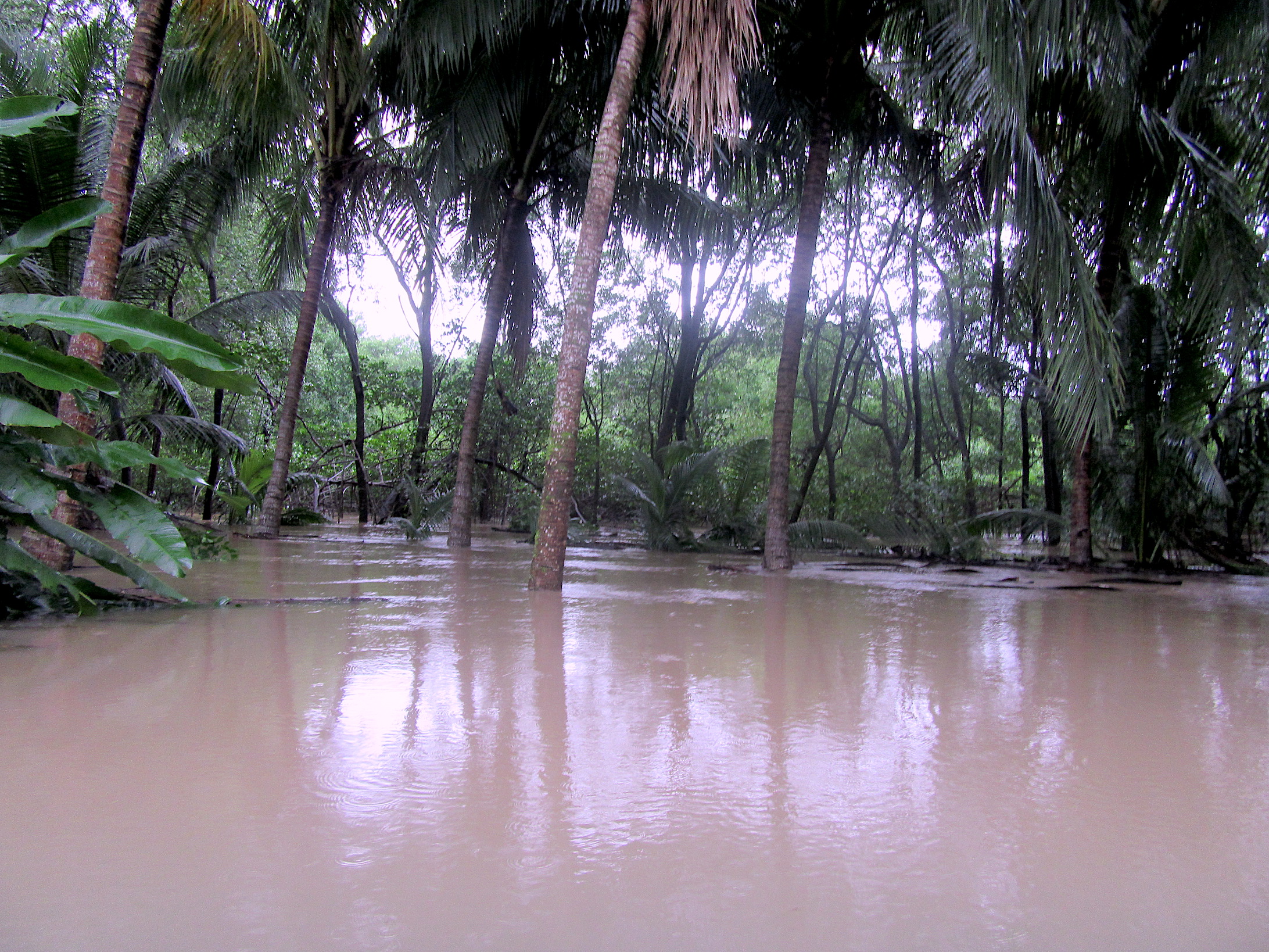 Jetzt wieder Sonne, der Regen zieht nach Nicaragua Wetter Costa Rica Samara