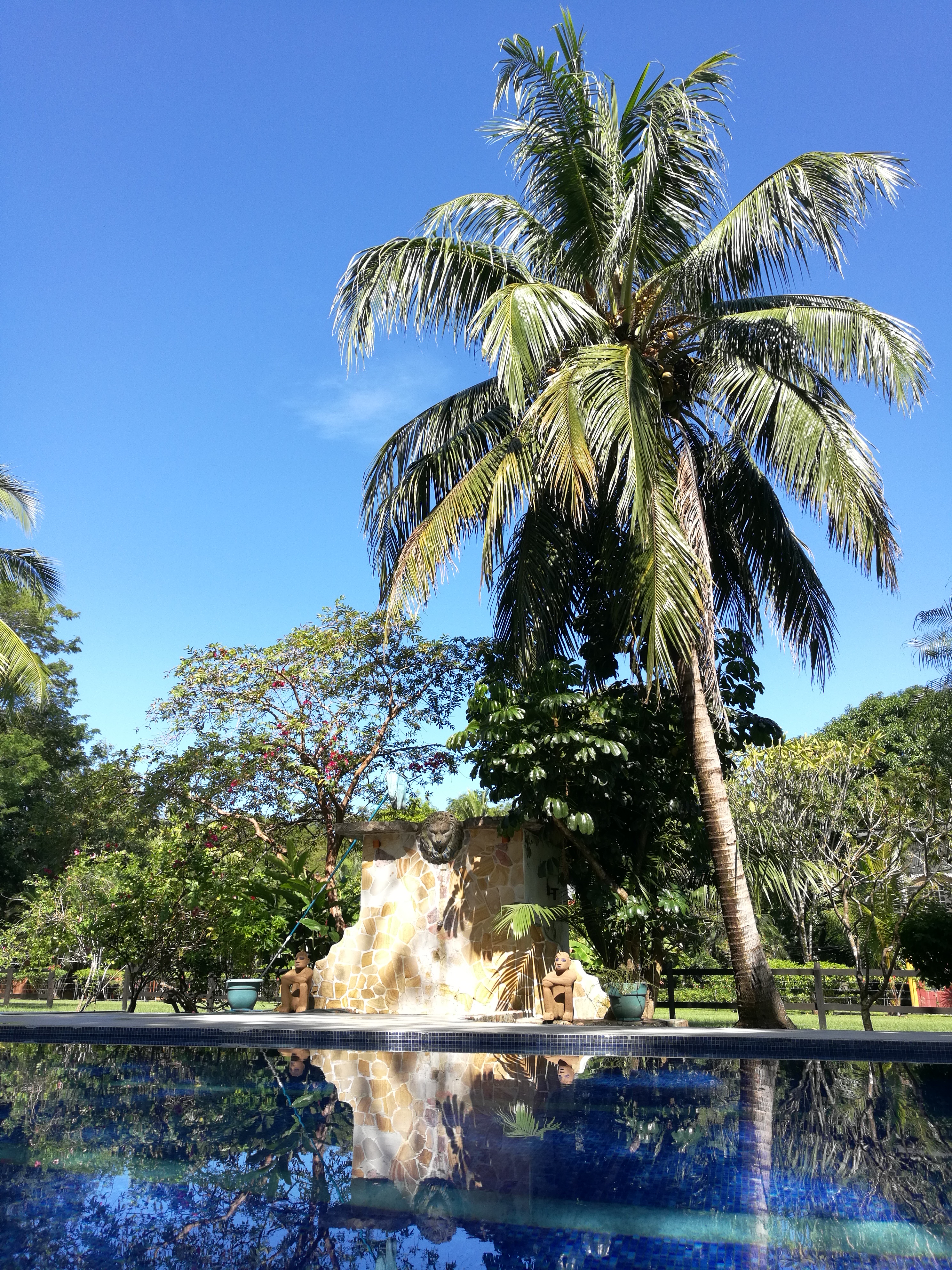 Trockenzeit in Costa Rica