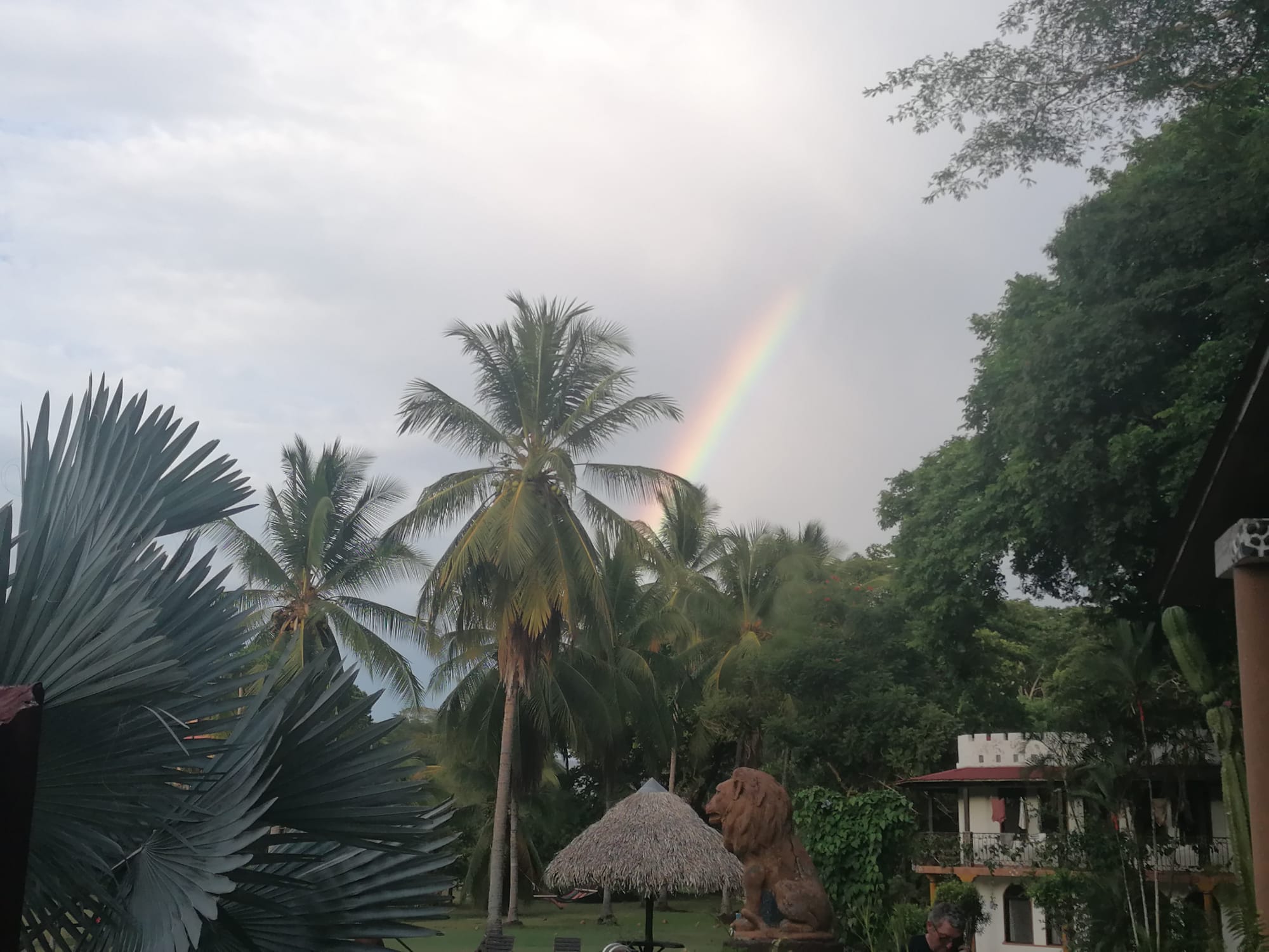 Paraiso Cocodrilo Hotel