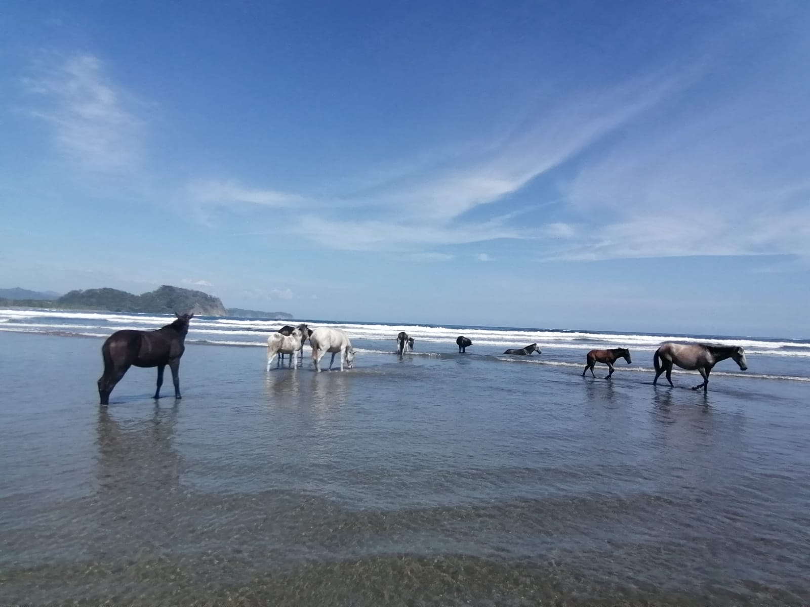 Playa Buena Vista excursion