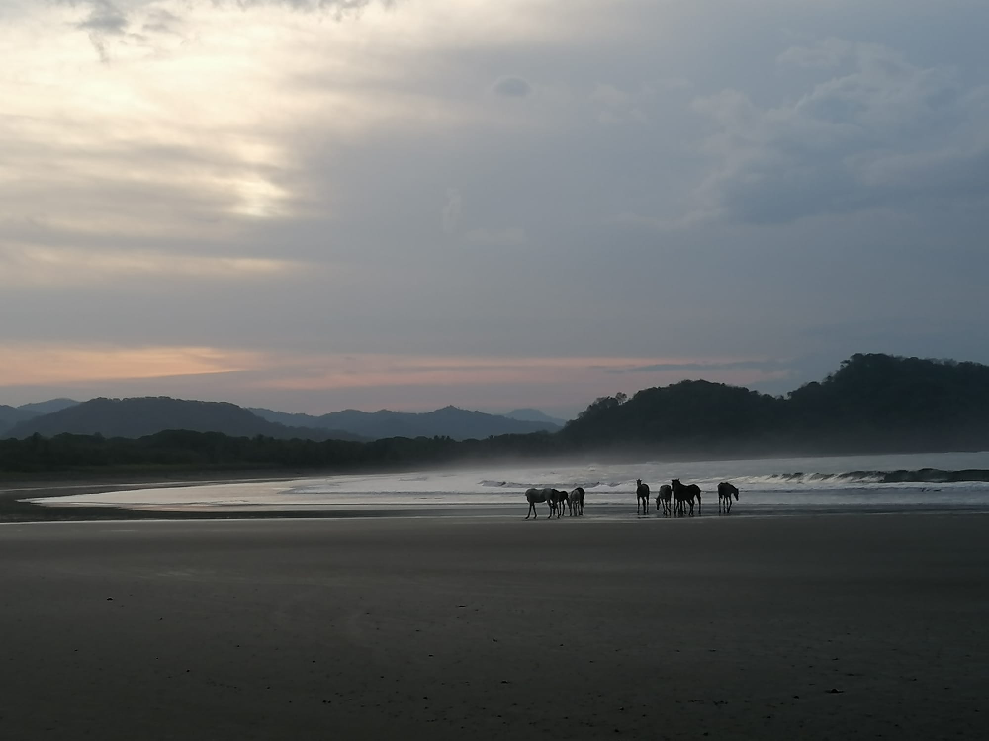 Buena Vista Beach