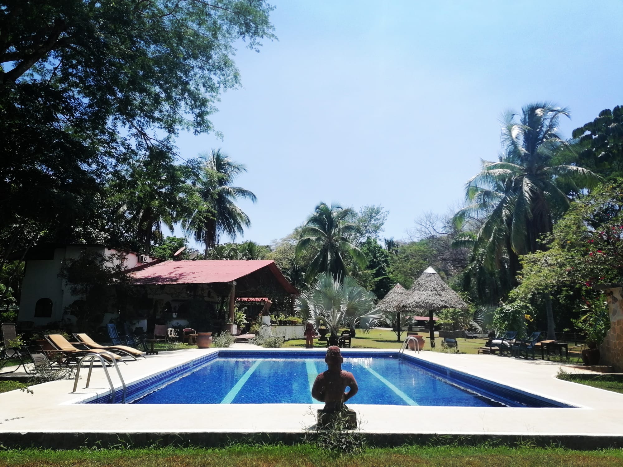 pool jungle lodge