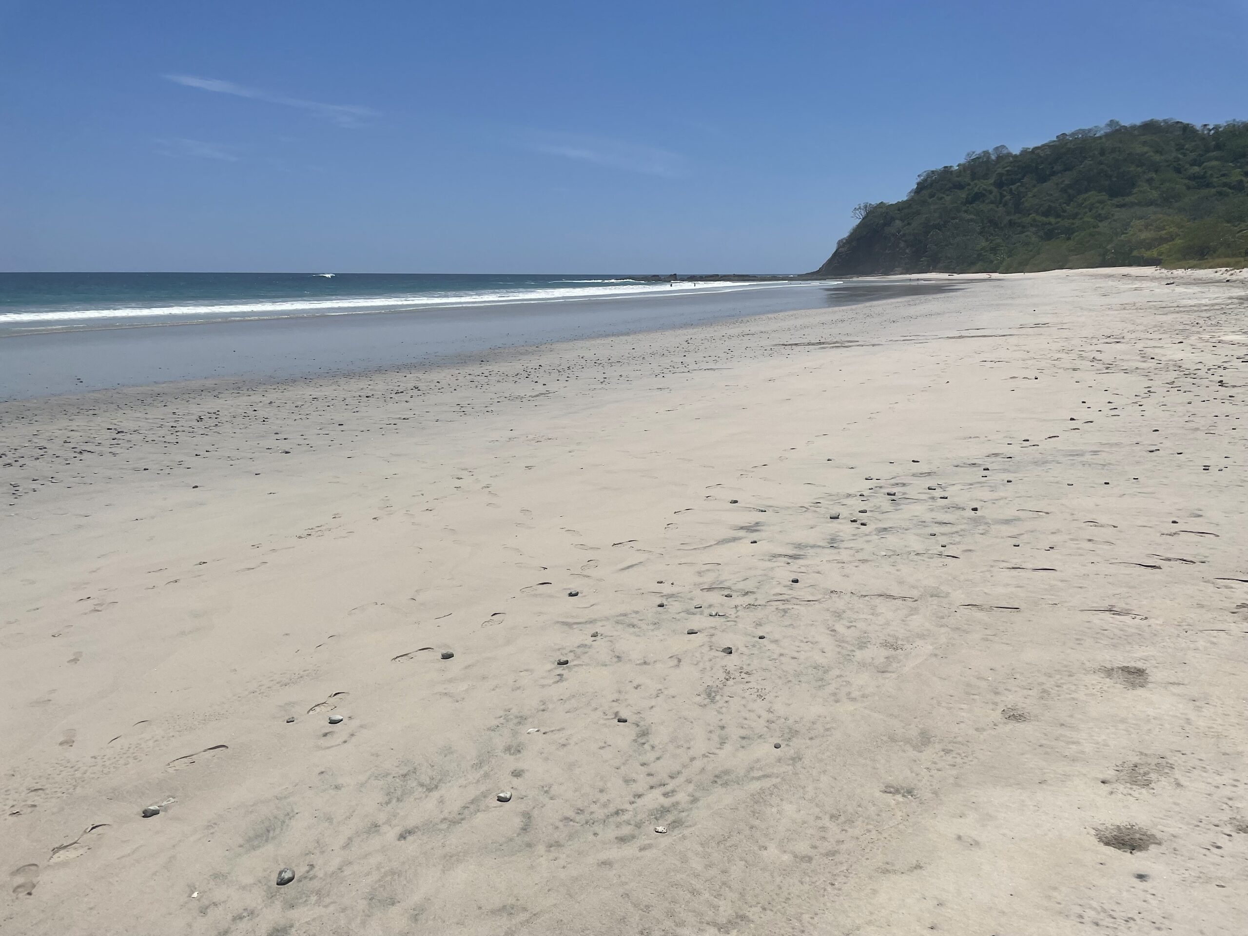 Strand Barrigono paraiso cocodrilo
